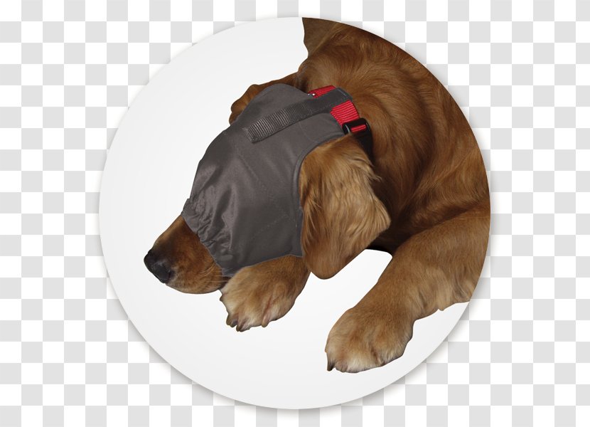 Separation Anxiety In Dogs Thunderworks Calming Cap Amazon.com Pet - Dog Transparent PNG