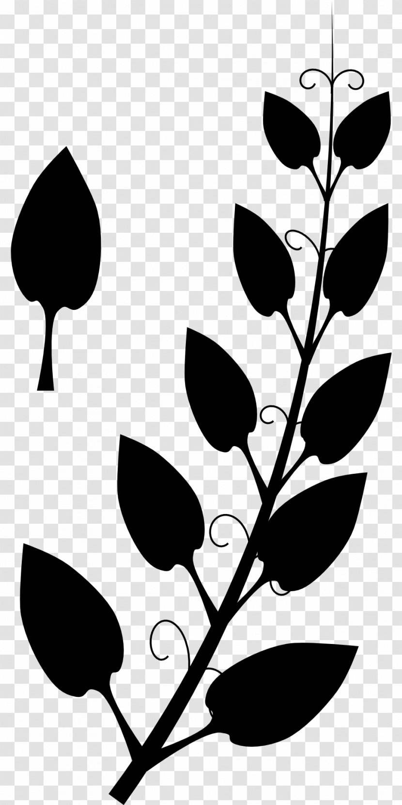 Clip Art Silhouette Plant Stem Line Black - Tree - Plants Transparent PNG