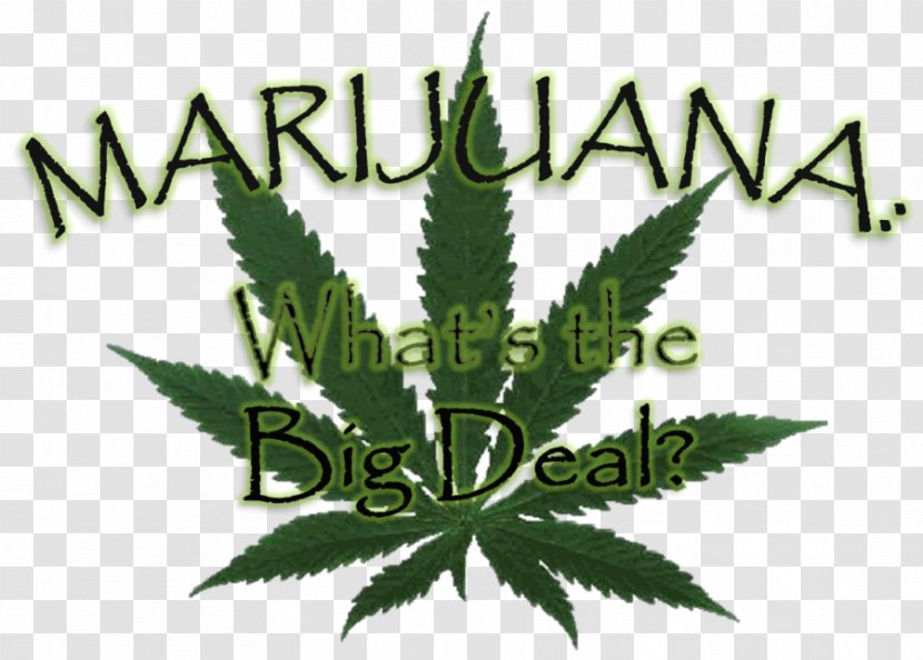 Medical Cannabis Smoking Joint Shop - Leaf Transparent PNG