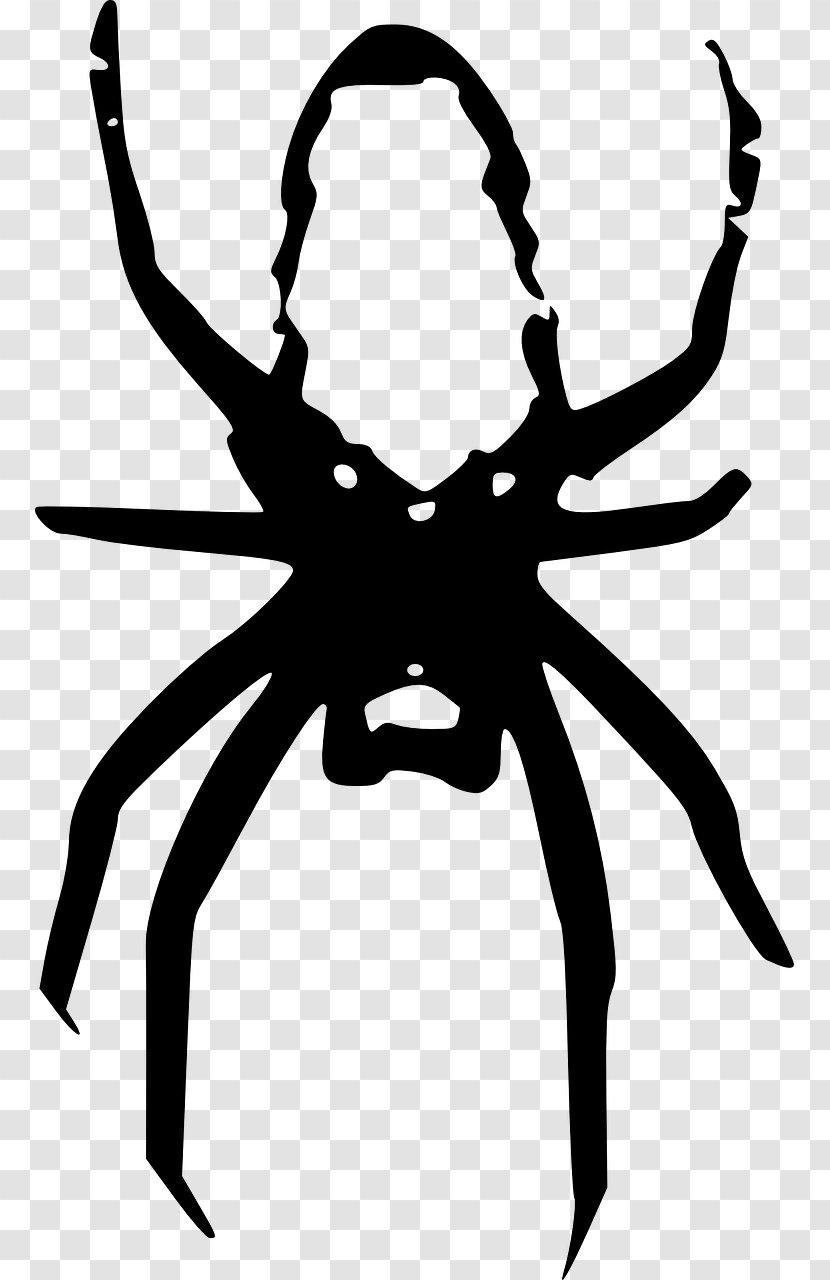 Spider Black And White Clip Art - Silhouette Transparent PNG