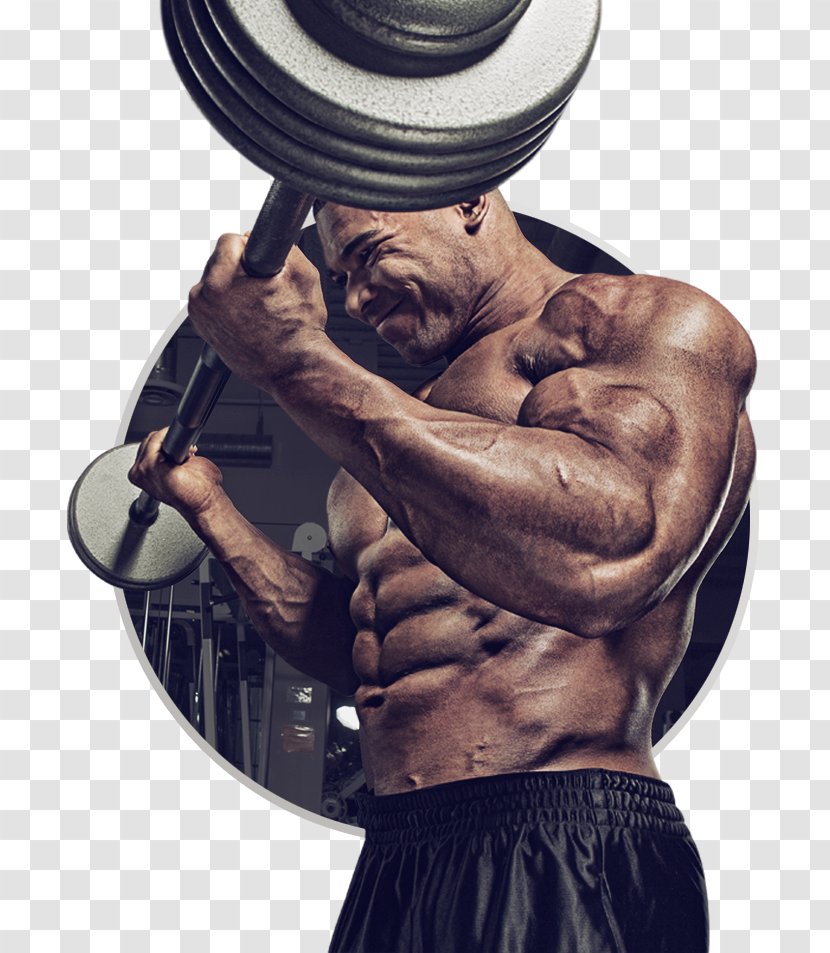 Dietary Supplement Bodybuilding MuscleTech Gainer Protein - Watercolor - Muscle Man Transparent PNG