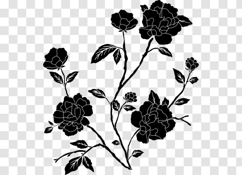 Black And White Flower - Leaf - Wildflower Branch Transparent PNG