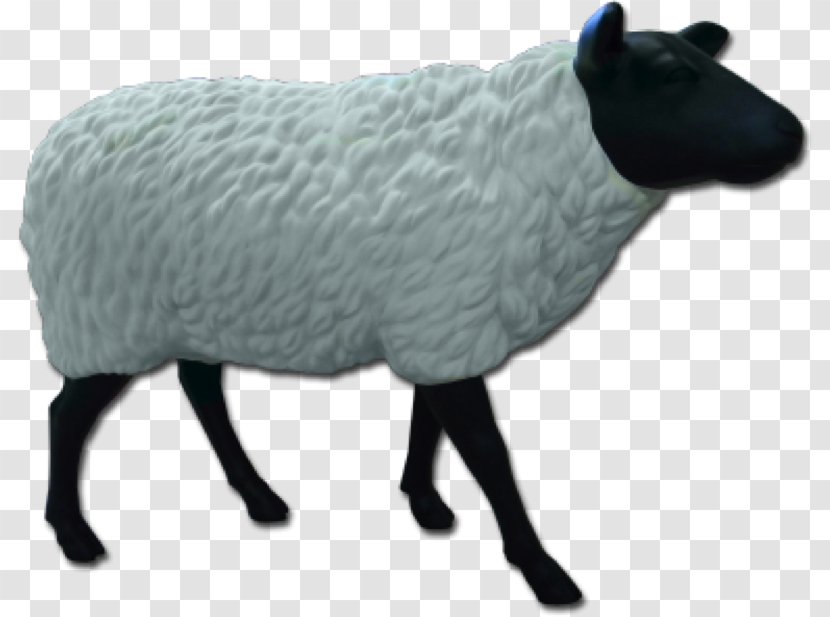 Sheep Wool Snout Animal - Figure Transparent PNG