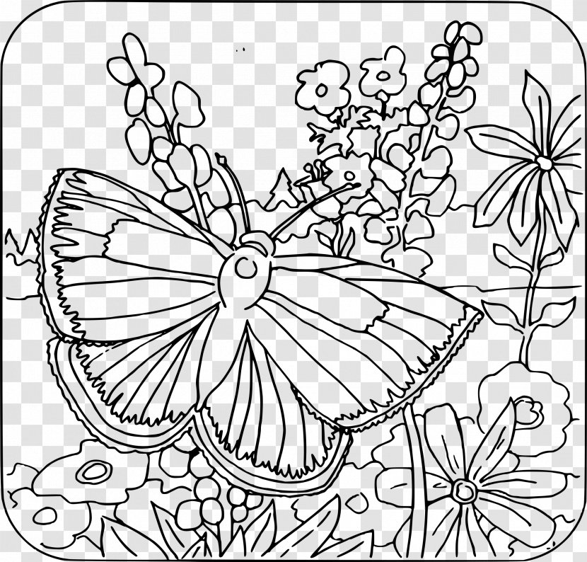 Coloring Book Child Adult Butterfly Page Transparent PNG