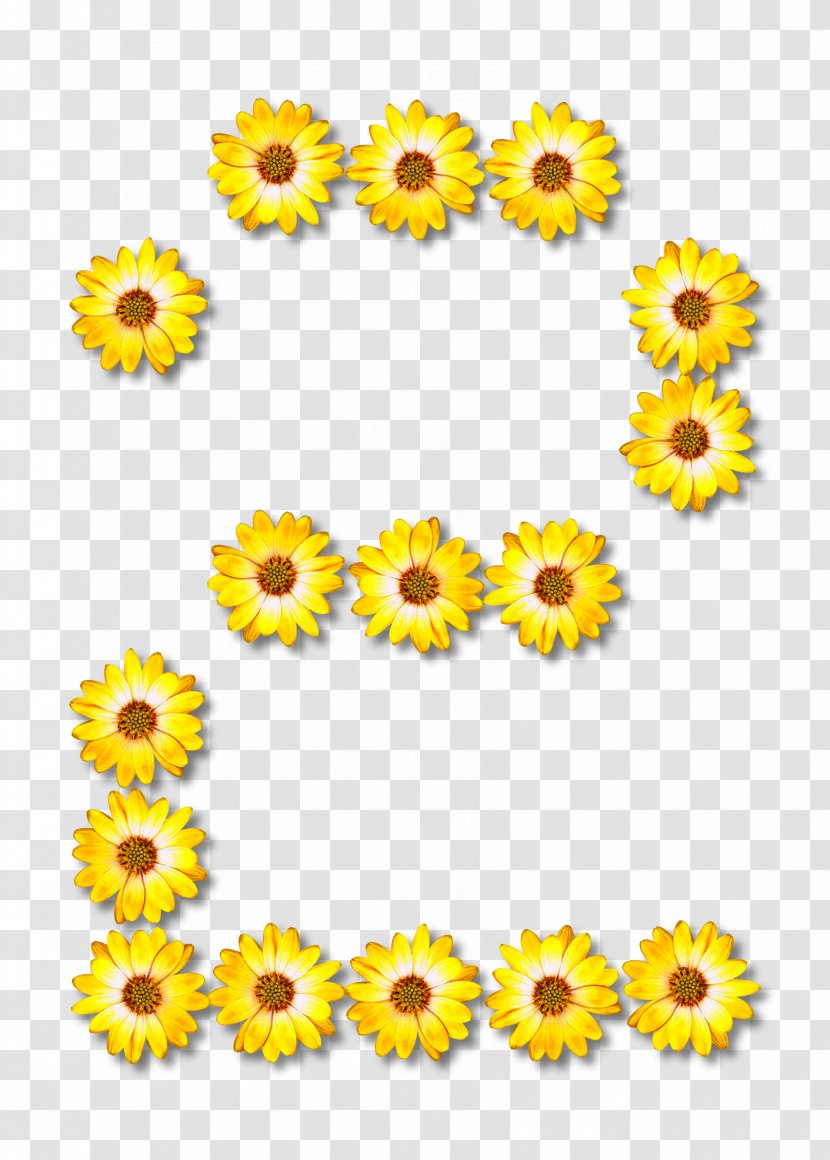 Common Sunflower Clip Art - Flower Transparent PNG