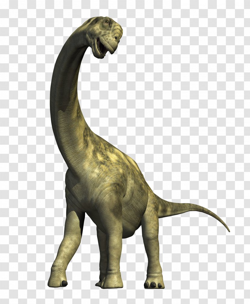 Camarasaurus Apatosaurus Diplodocus Dinosaur Compsognathus - Herbivore Transparent PNG