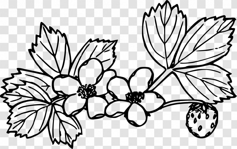 Wild Strawberry Coloring Book Clip Art - Leaf - Strawberries Transparent PNG
