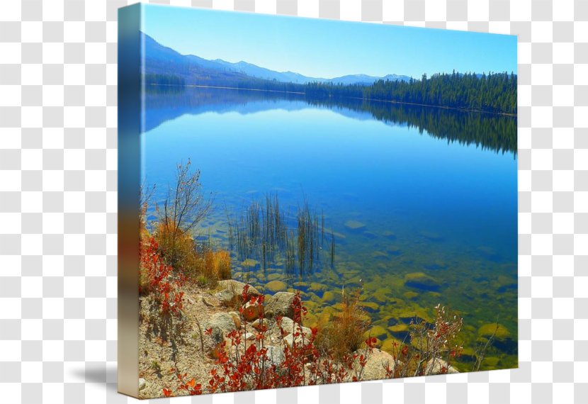 Water Resources Ecosystem Painting Lake Transparent PNG