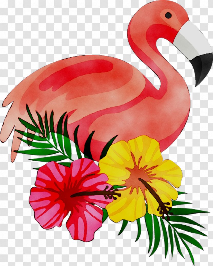 Vest Bellas Video Image Shopping Newmall Centre - Games - Flamingo Transparent PNG
