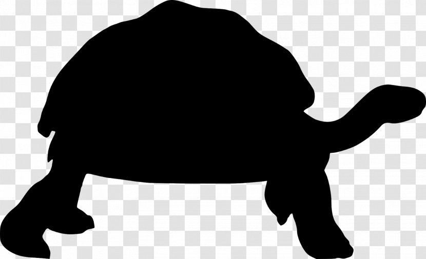 Sea Turtle Background - Box Blackandwhite Transparent PNG