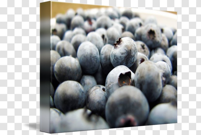Blueberry Bilberry Superfood Prune - Fruit Transparent PNG