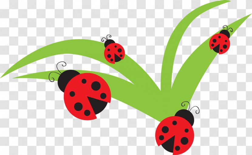 Ladybird Clip Art - Fruit - Pink Bug Cliparts Transparent PNG