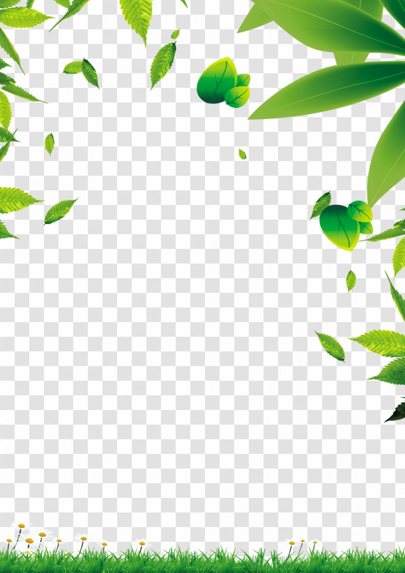 Green Leaf - Plant - Leaves Transparent PNG