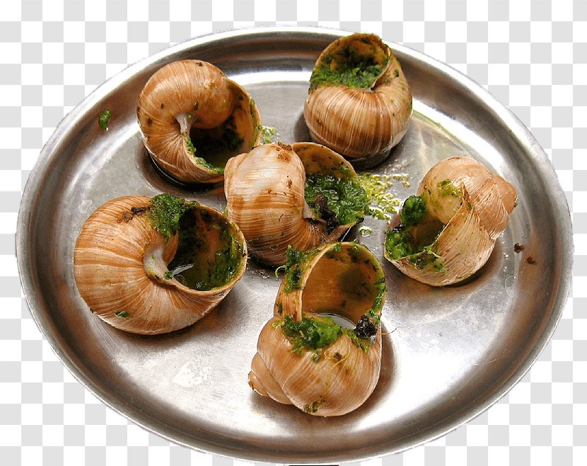 Escargot French Cuisine Greek Snail Food Transparent PNG