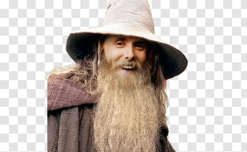Peter Jackson Gandalf The Lord Of Rings: Fellowship Ring Hobbit Saruman - Rings Transparent PNG