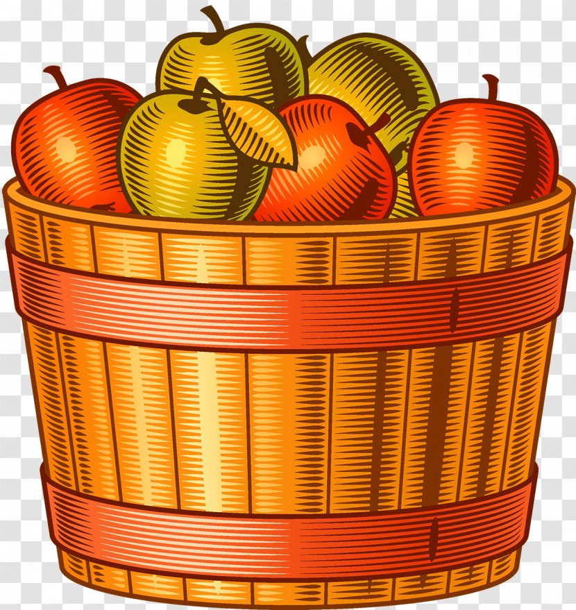 Harvest Autumn Adobe Illustrator - Food - Apple Transparent PNG