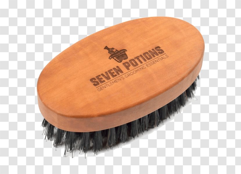 Wild Boar Hairbrush Bristle Beard Transparent PNG