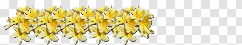 Red Frangipani Plants Plumeria Alba Image Exotic - Commodity - Fragrant Tropical Flowers Growing In Hawaii Transparent PNG