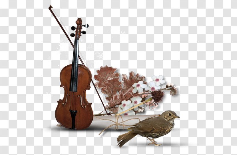 String Instrument String Instrument Musical Instrument Violin Family Cello Transparent PNG