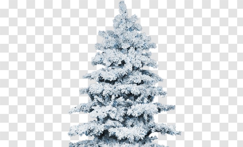 Snow Christmas Tree Winter Pine - Decoration Transparent PNG