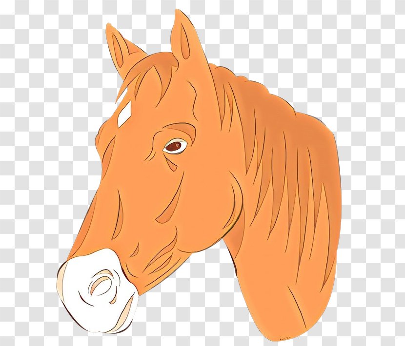 Horse Cartoon - Bridle - Stallion Livestock Transparent PNG