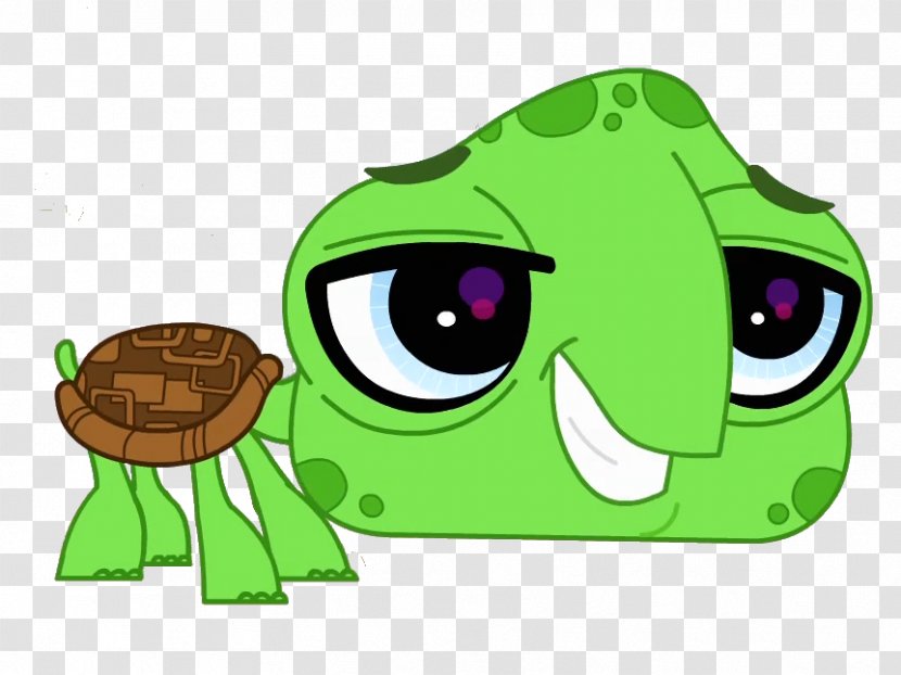 Tortoise Turtle Littlest Pet Shop - Frog - Shops Transparent PNG