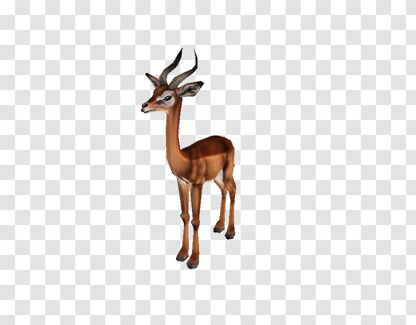 Impala Gazelle Reindeer Terrestrial Animal - Figure - Zoo Tycoon 2 Downloads Transparent PNG