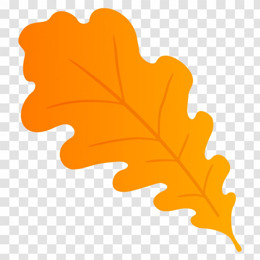 Oak Leaf Autumn Fall - Plant - Plane Transparent PNG