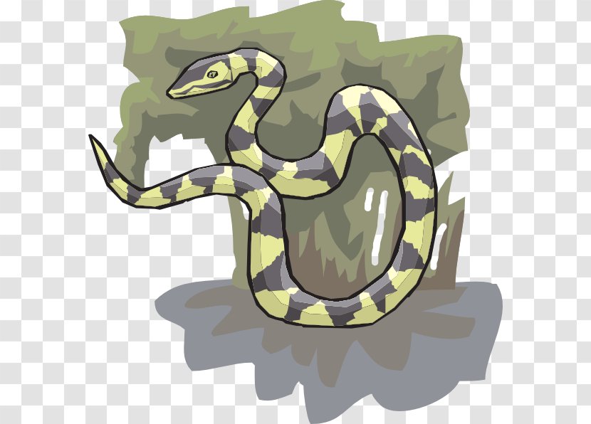 Snake Boa Constrictor Download Clip Art Transparent PNG