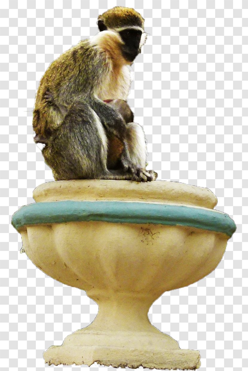 Figurine Monkey - Preist Transparent PNG