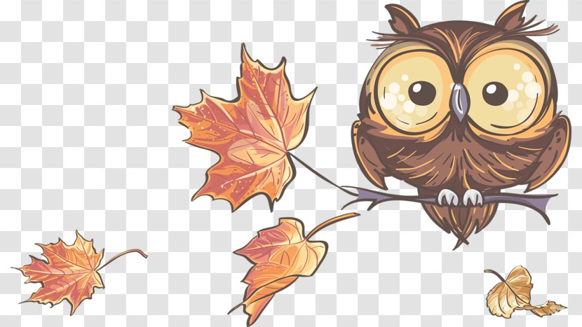 Maple Leaf - Tree - Painted Owl Transparent PNG