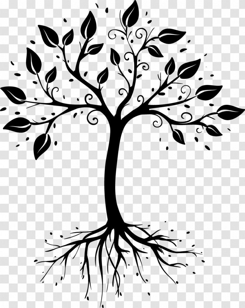 Black-and-white Branch Tree Leaf Plant Transparent PNG