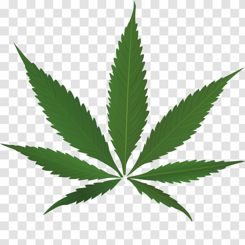 Medical Cannabis Clip Art - Legalization - Illegal Drugs Transparent PNG