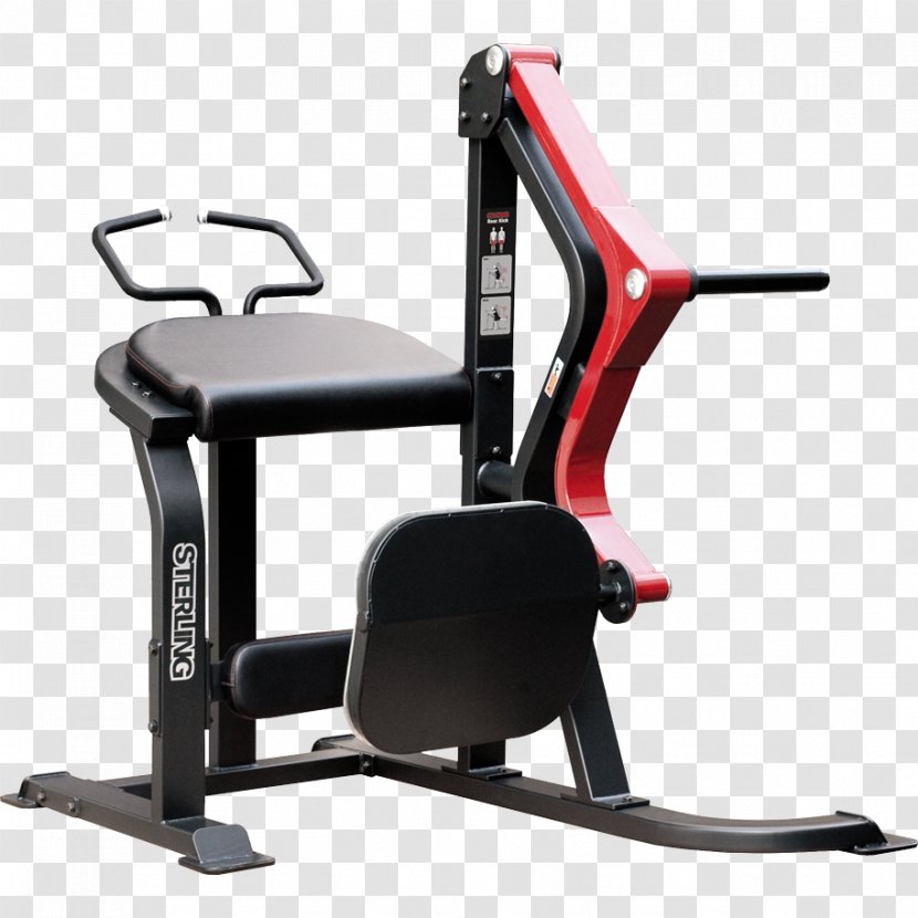 Exercise Equipment Fitness Centre Weight Training Machine Bodybuilding - Gym Transparent PNG