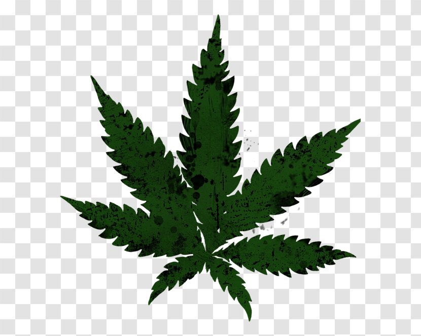 Cannabis Sativa Legalization Drawing - Royaltyfree - Pot Leaf Transparent PNG