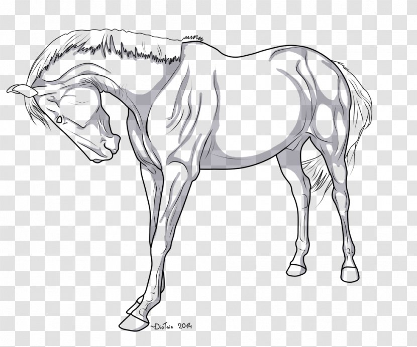 Mustang Arabian Horse Stallion Line Art American Quarter - Parting Transparent PNG