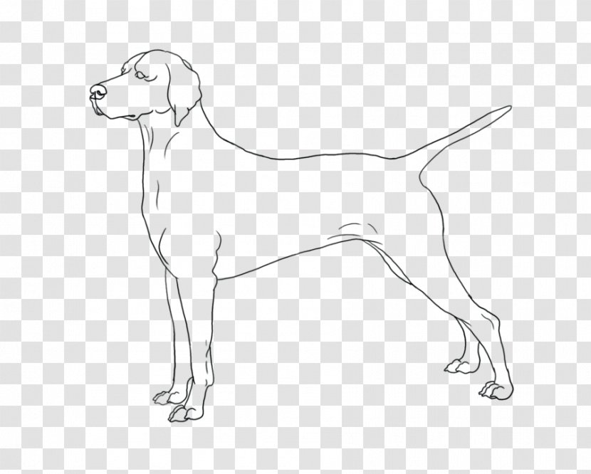 Harrier Puppy Dog Breed Sporting Group Retriever - Like Mammal Transparent PNG