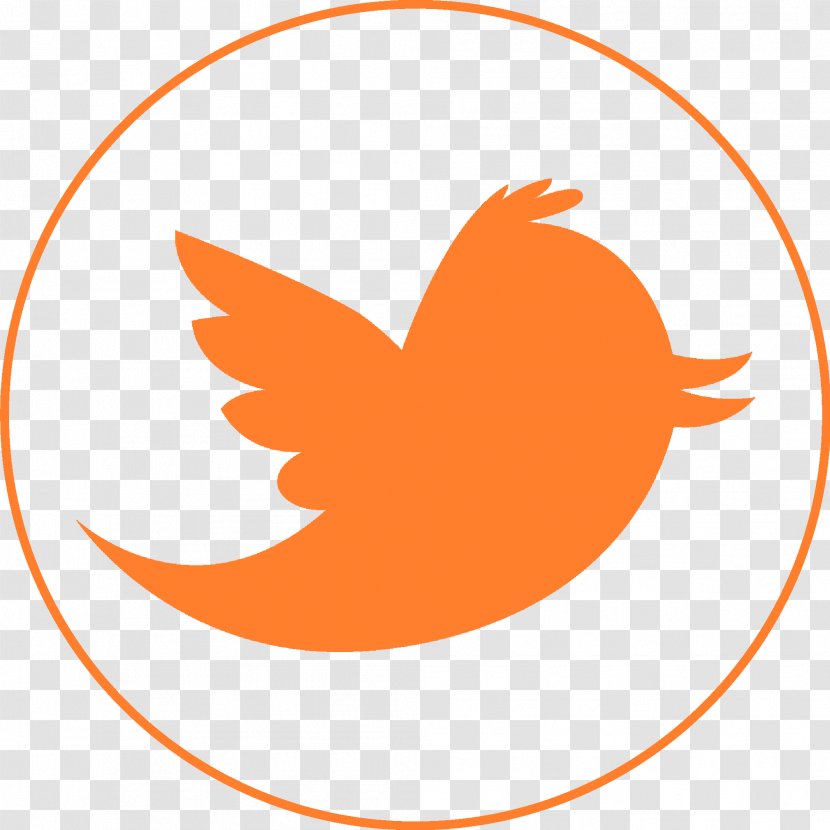 Social Media Clip Art - Orange Transparent PNG