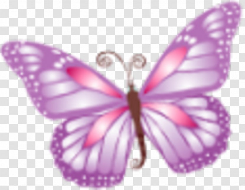 Butterfly Download - Pink Transparent PNG
