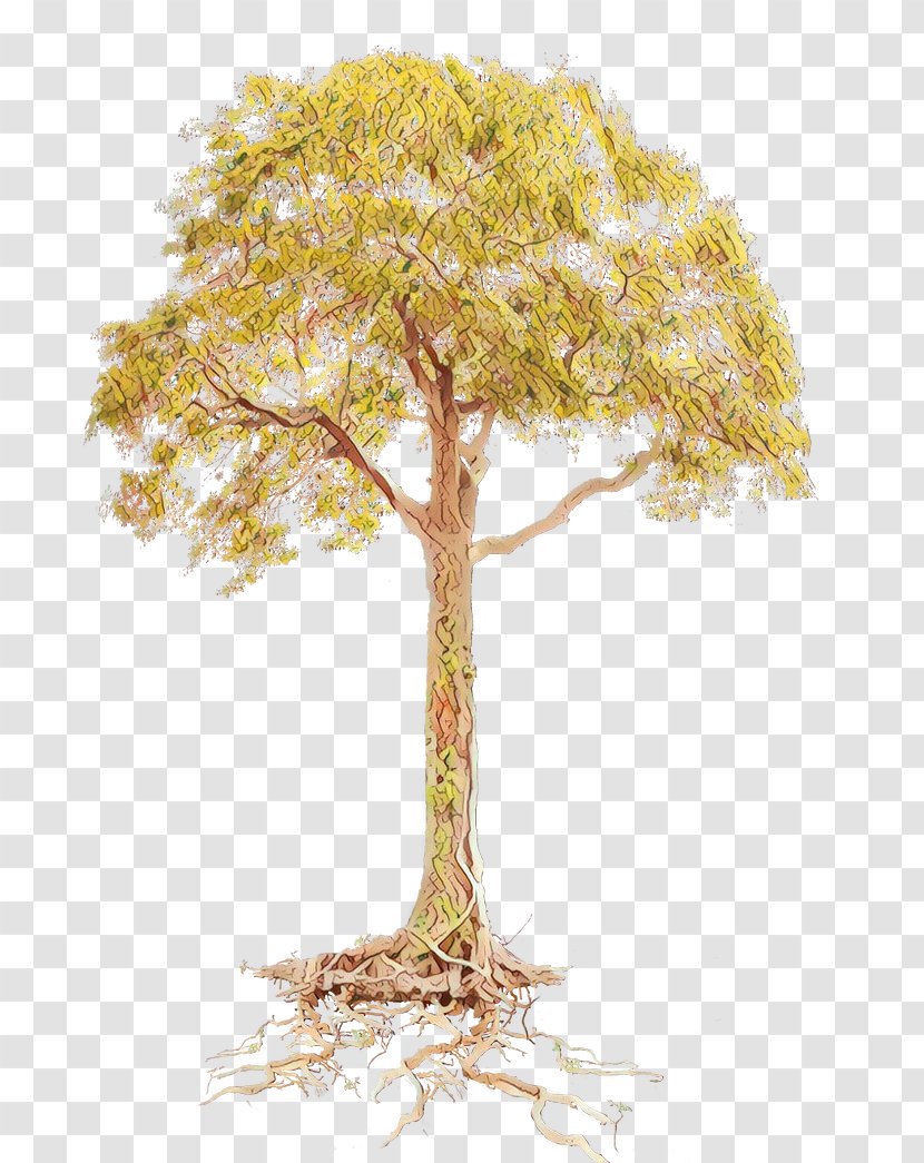 Tree Root Clip Art Branch - Shrub - Plant Stem Transparent PNG