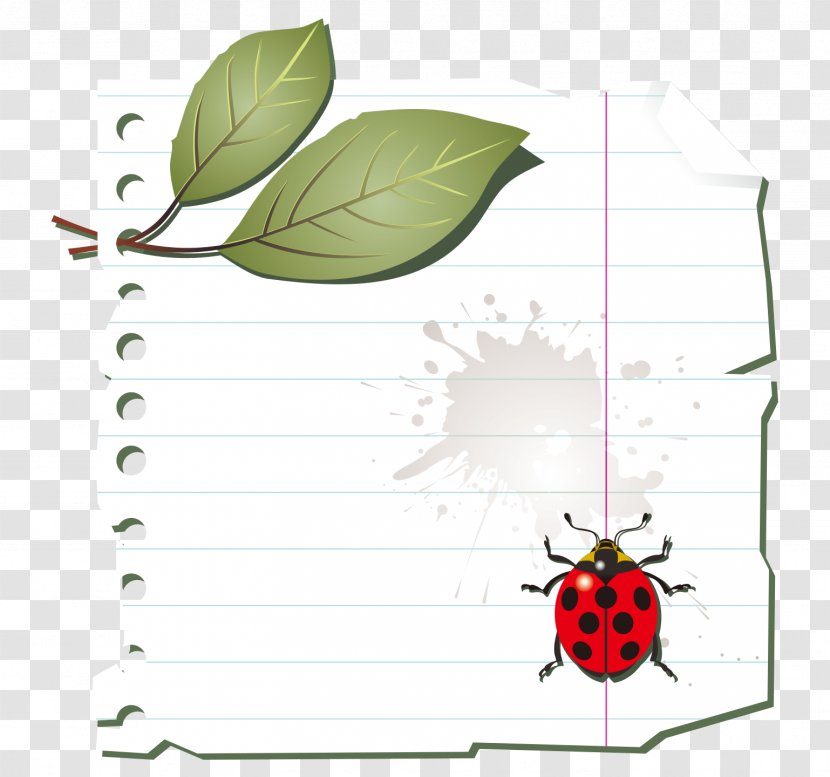 White-painted Cartoon Ladybug Leaf - Title Bar - Floral Design Transparent PNG