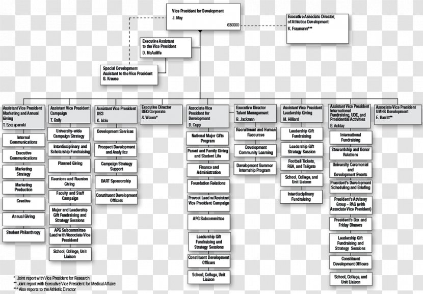 Organizational Chart Hagerstown Community College Marketing Transparent PNG