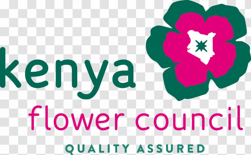 Kenya Flower Council Cut Flowers Oserian Rose Transparent PNG
