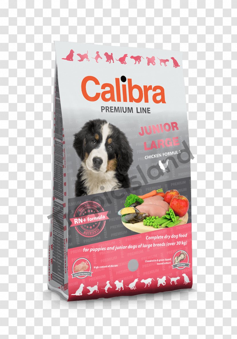 Dog Puppy Cat Food Fodder Breeder Transparent PNG