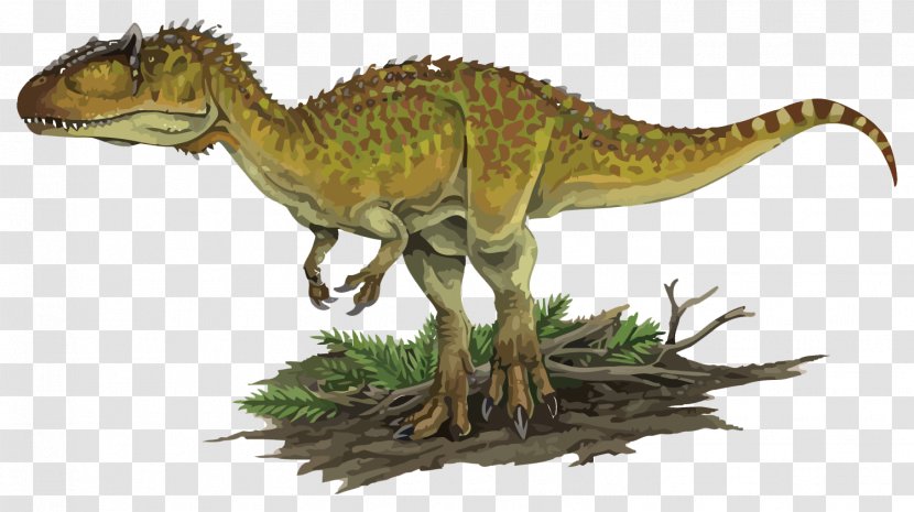 Carcharodontosaurus Kelmayisaurus Acrocanthosaurus Tyrannosaurus Giganotosaurus - Dinosaur - Vector Dinosaurs Transparent PNG
