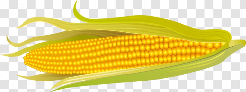 Corn On The Cob Maize Wheat Price - Commodity - Golden Transparent PNG