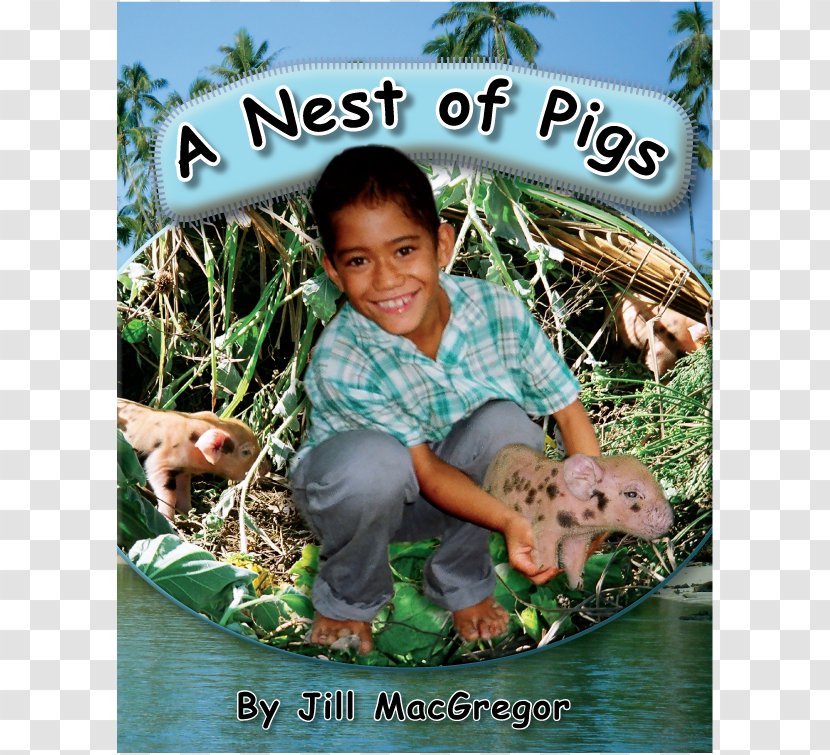 Calf And Lamb Day: A Story From New Zealand Ei For The Cook Islands Nest Of Pigs: Jill MacGregor - Christiano Transparent PNG