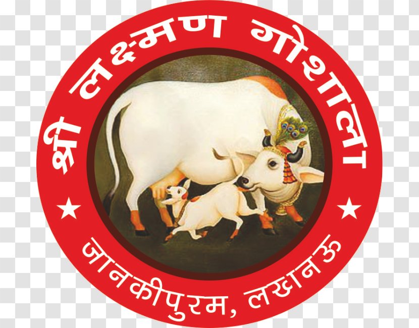 Vrindavan Gyr Cattle Krishna Goshala - Bull Transparent PNG