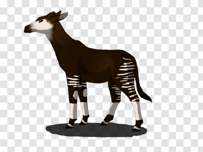 Okapi Giraffe Pronghorn Horse Drawing - Zebra - Quickly Clipart Transparent PNG