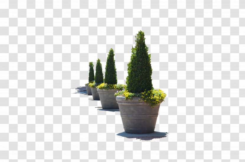 Flowerpot Tree Houseplant - Stock - Rowing Transparent PNG